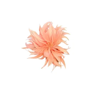 ANG - Spilla Piume - PESCA