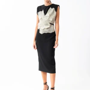 abito a tubino con applicazione