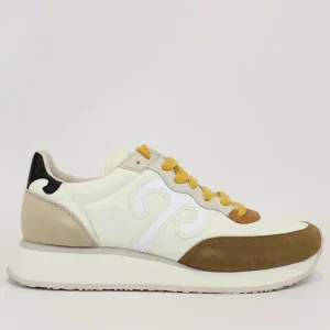 sneakers master sport